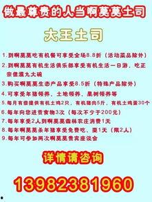 农村爆料标题大全集最新,揭秘最新热点事件背后的真相  第1张